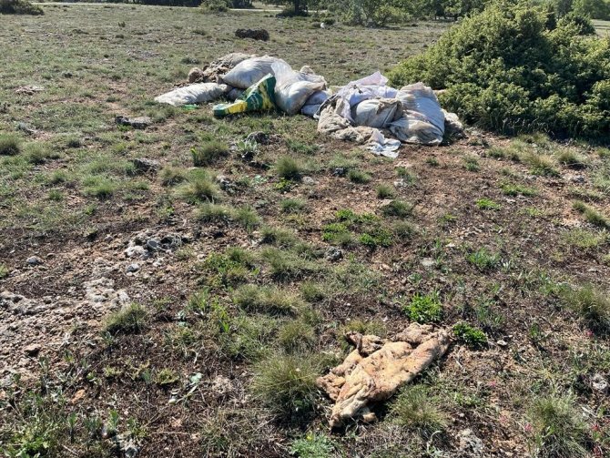 Doğaya Bırakılan Bir Kamyonet Dolusu Kurban Atığı Tepki Topladı