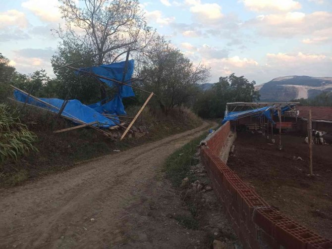 Kaymakam Şahin Sel Felaketinin Ardından Hasar Tespit Çalışmalarını Başlattı
