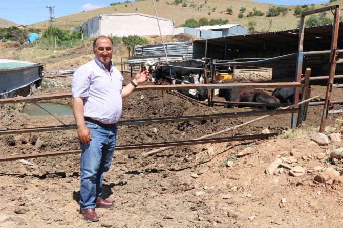 Kırşehirli Besici: "Vatandaş, Kurbanlık Fiyatına Tatile Gitti"