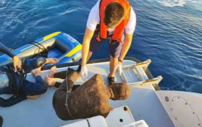 Marmaris Ve Datça’da 18 Düzensiz Göçmen Kurtarıldı