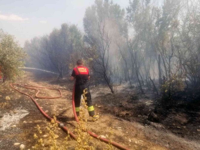 Menteşe’de Arazi Yangını