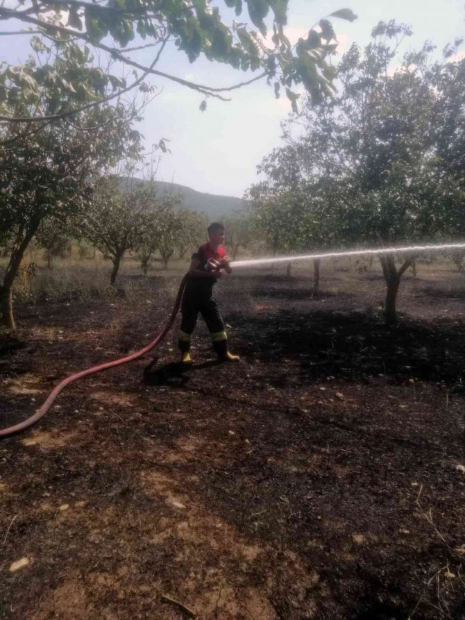 Menteşe’de Arazi Yangını