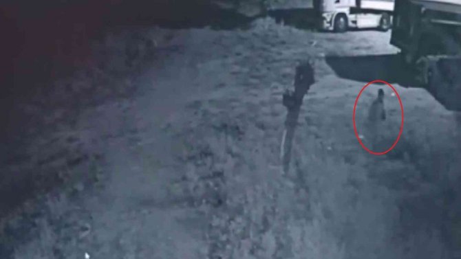 Kamyondan Hırsızlık Yapan Şüpheliyi Yürüyüşü Ele Verdi