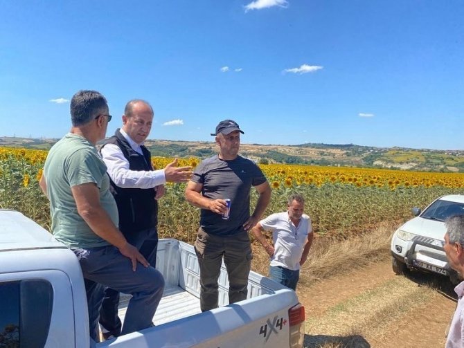 Tekirdağ’da ‘Çayır Tırtılı’ İncelemesi