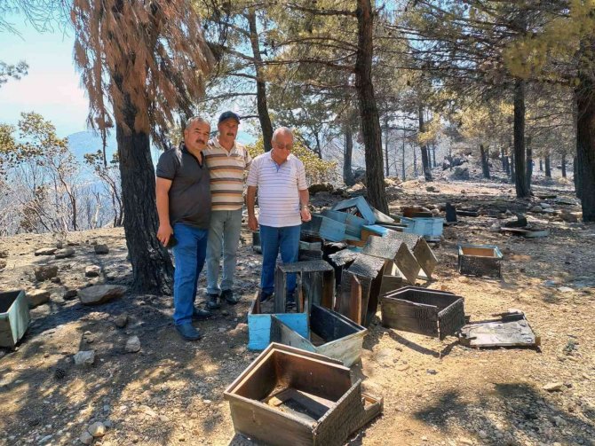 Tab Başkanı Ziya Şahin Orman Bakan Kirişçi İle Görüştü