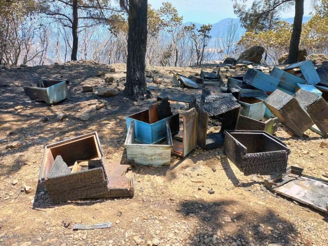 Tab Başkanı Ziya Şahin Orman Bakan Kirişçi İle Görüştü