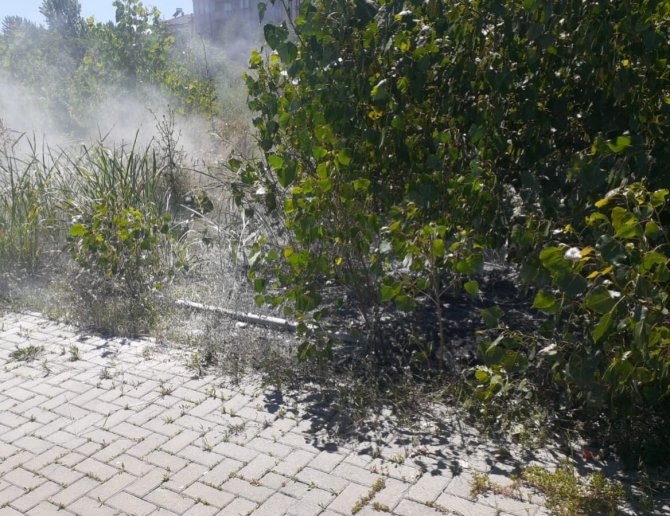 Çalılıktaki Yangına Zabıta Müdahale Etti