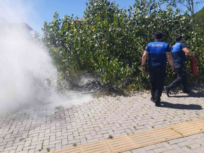 Çalılıktaki Yangına Zabıta Müdahale Etti