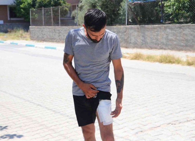 ‘Halayı Yavaş Çek’ Kavgası En Mutlu Günlerini Mahvetti