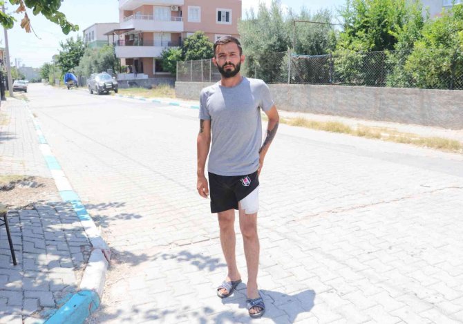‘Halayı Yavaş Çek’ Kavgası En Mutlu Günlerini Mahvetti