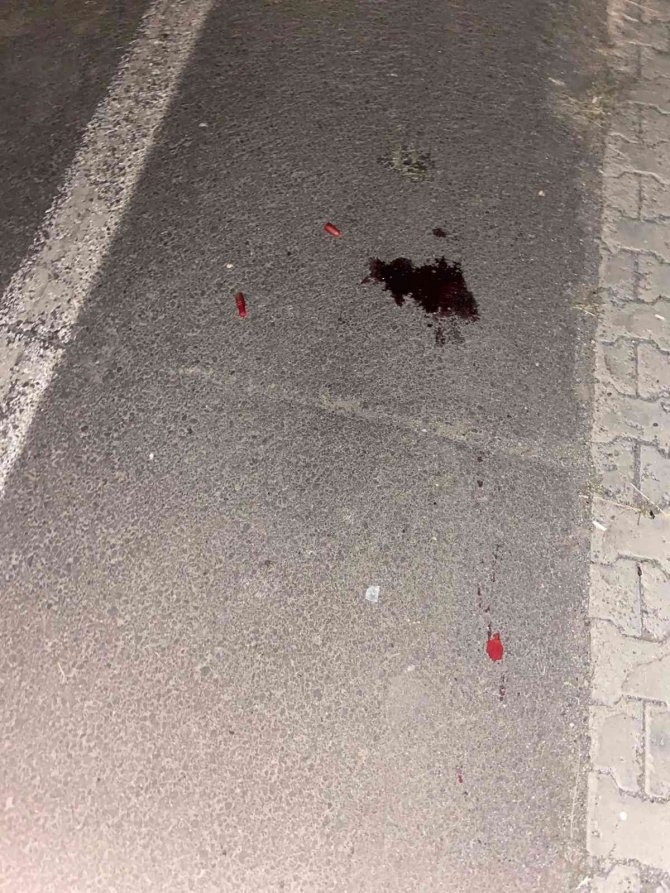 Ağrı’da Tırın Çarptığı Kadın Hayatını Kaybetti