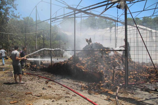 Çim Üretim Firmasının Serasındaki Yangın Korkuttu