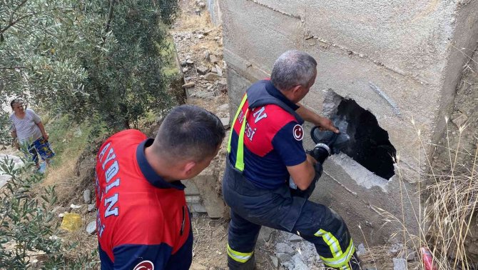 40 Derece Sıcaklıkta Yavru Köpeği Kurtarmak İçin Seferber Oldular