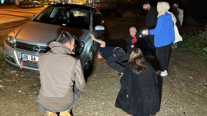İ̇natçı Kedi, Vatandaşları Seferber Etti