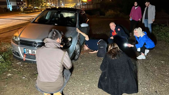 İ̇natçı Kedi, Vatandaşları Seferber Etti