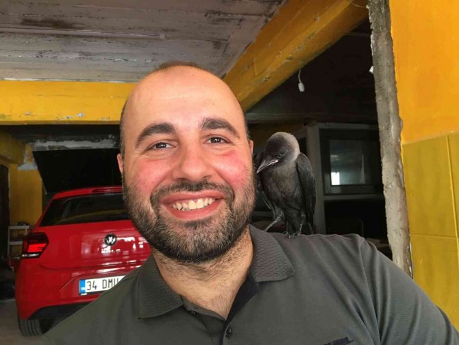Otopark İşletmecisinin Karga İle Dostluğu Görenleri Şaşırtıyor