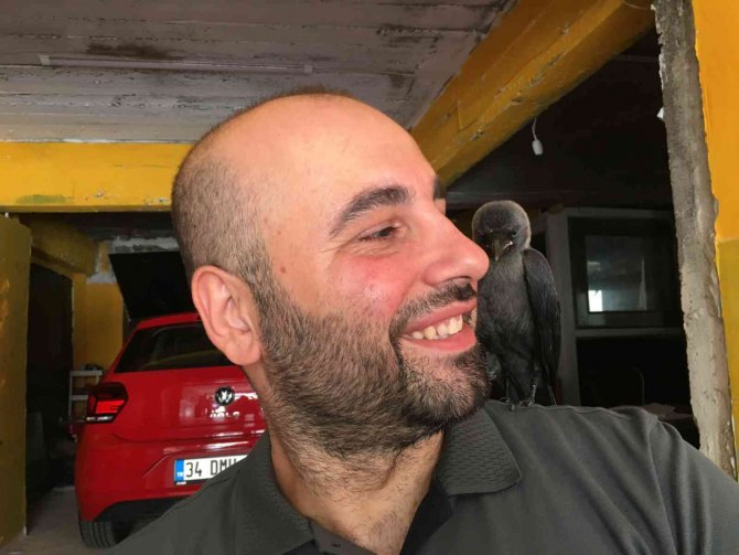 Otopark İşletmecisinin Karga İle Dostluğu Görenleri Şaşırtıyor