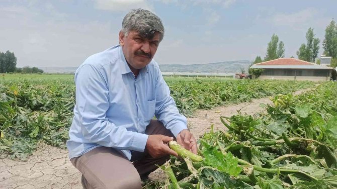 Şiddetli Yağışlar Çiftçinin Bayramını Adeta Zehir Etti