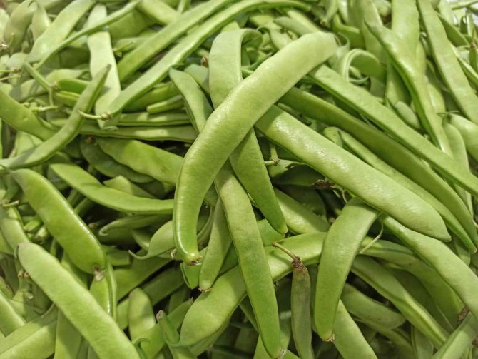 Hasadı Yapılan Fasulye Tezgahlarda Yerini Almaya Başladı