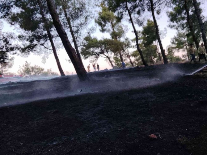 Kırıkhan’da Örtü Yangını