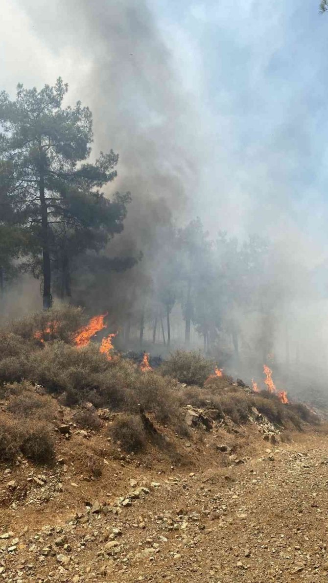 Hatay’daki Orman Yangınıyla İlgili 1 Şüpheli Gözaltına Alındı
