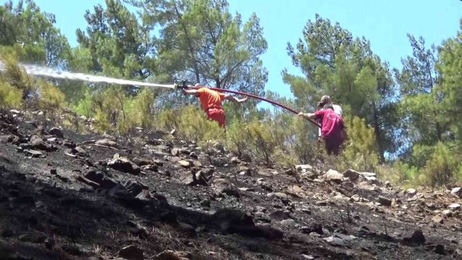 Hatay’daki Orman Yangınıyla İlgili 1 Şüpheli Gözaltına Alındı