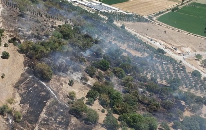 İ̇zmir’de Ziraat Arazisindeki Yangına Havadan Ve Karadan Müdahale