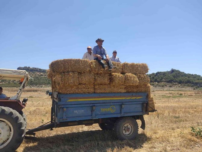 Salihli’de Hayvan Üreticilerine Kaba Yem Desteği