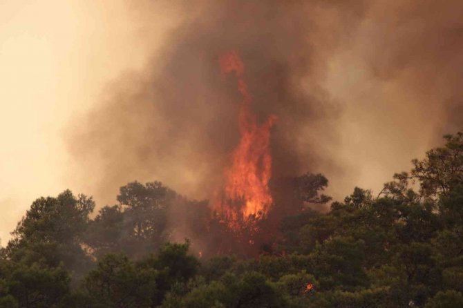Meteoroloji’den Muğla’ya Orman Yangını Uyarısı