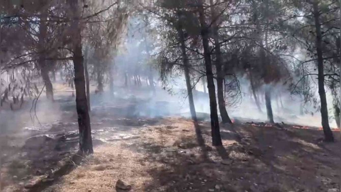 Orman Yangınını Polisler Söndürdü