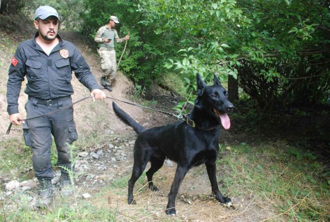 Minik Evrim’den 4 Yıldır Haber Alınamadı
