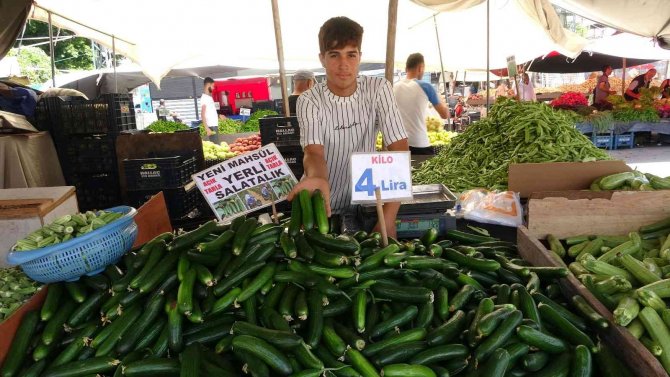 Adana’da Domatesin Kilosu 2 Liraya Düştü