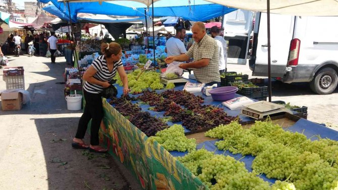 Adana’da Domatesin Kilosu 2 Liraya Düştü