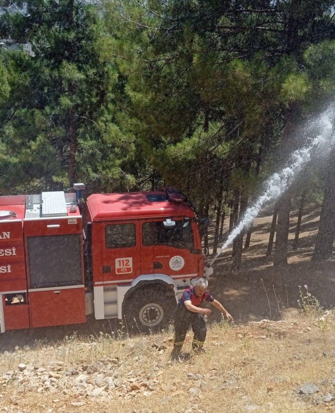 Adıyaman’da Orman Yangını Korkuttu