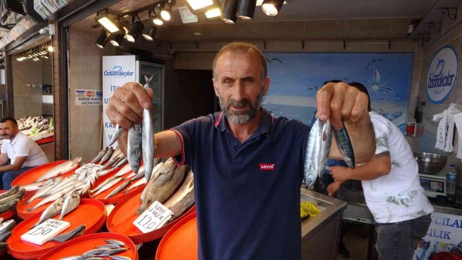 Çingene Palamudu Şimdiden Tezgahta Yerini Aldı