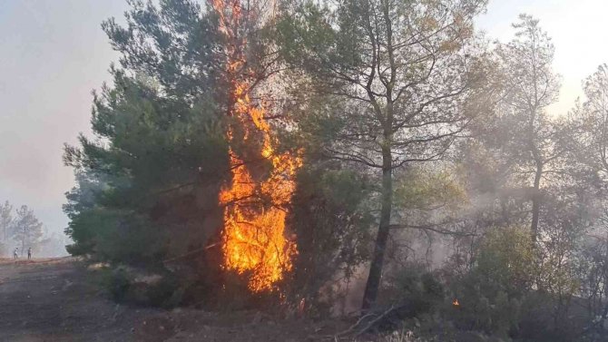 Alevlerin Kontrol Altına Alınması İçin İş Makineleri Konuşlandırıldı