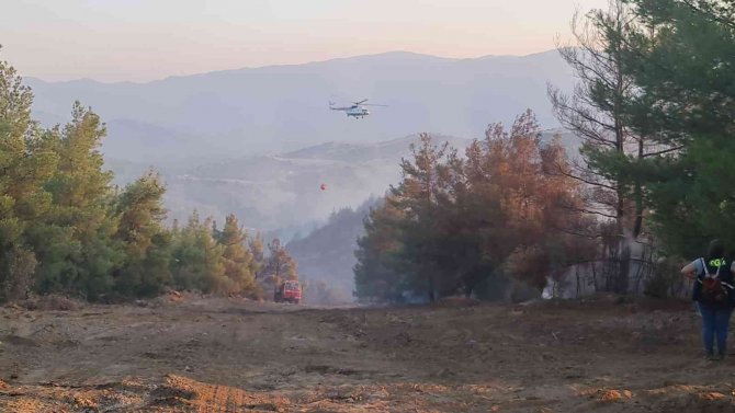 Nazilli Yangını Kısmen Kontrol Altına Alındı