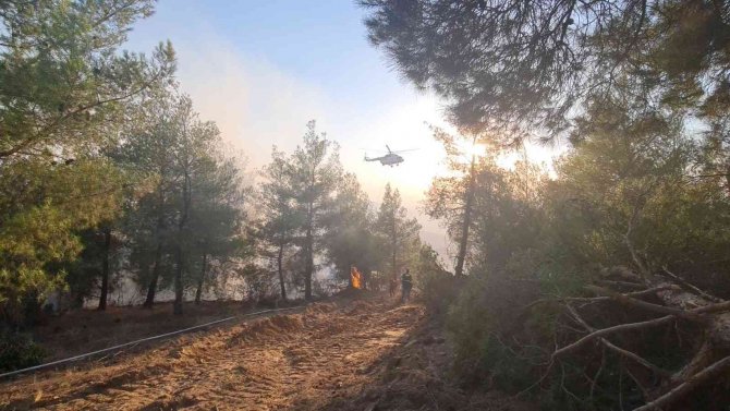 Aydın’daki Yangında 30 Hektar Ormanlık Alan Zarar Gördü