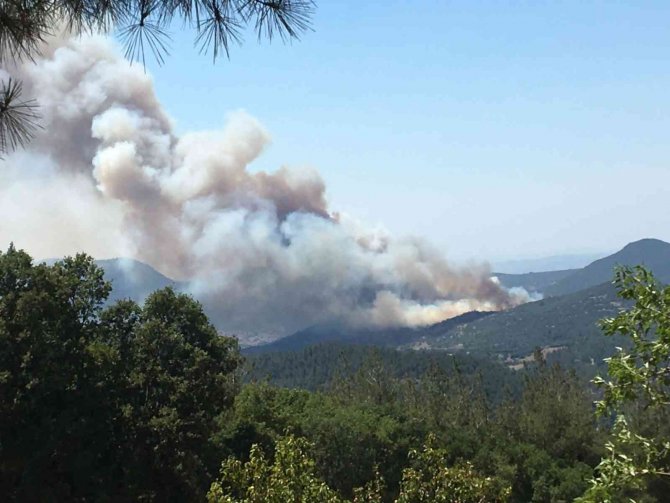 Kepsut’ta Orman Yangını