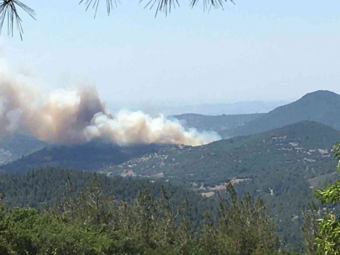Kepsut’ta Orman Yangını