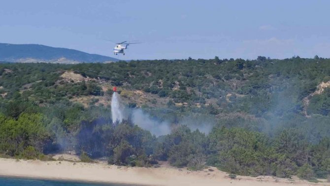 Saman Yüklü Tır Alev Aldı, Yangın Ormanlık Alana Sıçradı