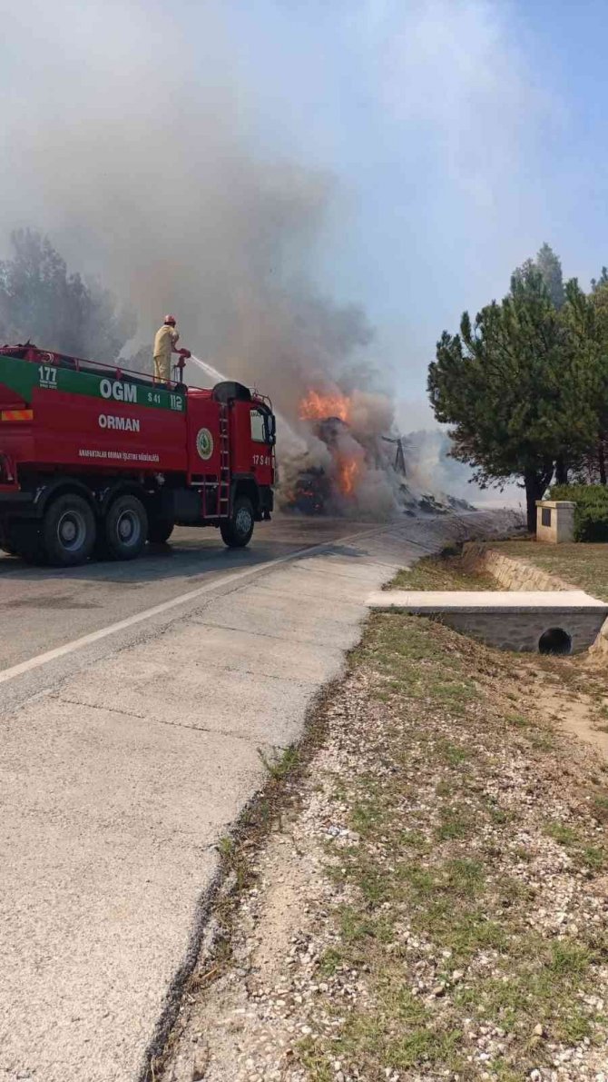 Saman Yüklü Tır Alev Aldı, Yangın Ormanlık Alana Sıçradı