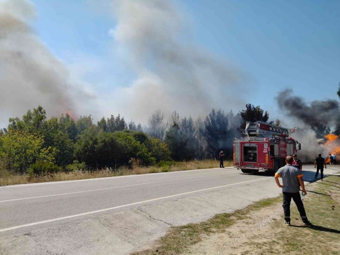 Saman Yüklü Tır Alev Aldı, Yangın Ormanlık Alana Sıçradı