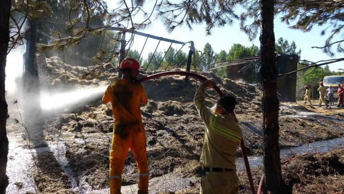 Yeni Zelanda Mezarlığı Yanmaktan Son Anda Kurtarıldı