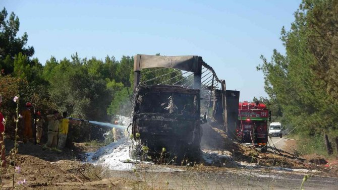 Yeni Zelanda Mezarlığı Yanmaktan Son Anda Kurtarıldı