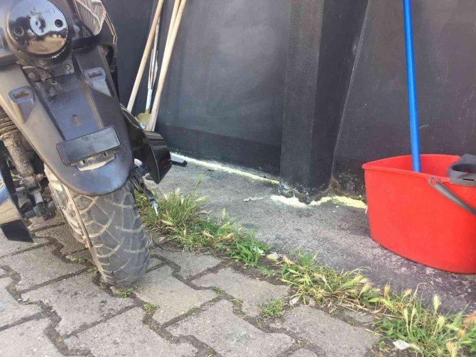 Yılana Vakasına Karşı Kükürtlü Önlem