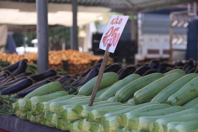 Pazar Tezgahlarında Salatalık 3,5 Tl’den Satılıyor