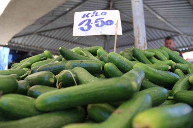 Pazar Tezgahlarında Salatalık 3,5 Tl’den Satılıyor
