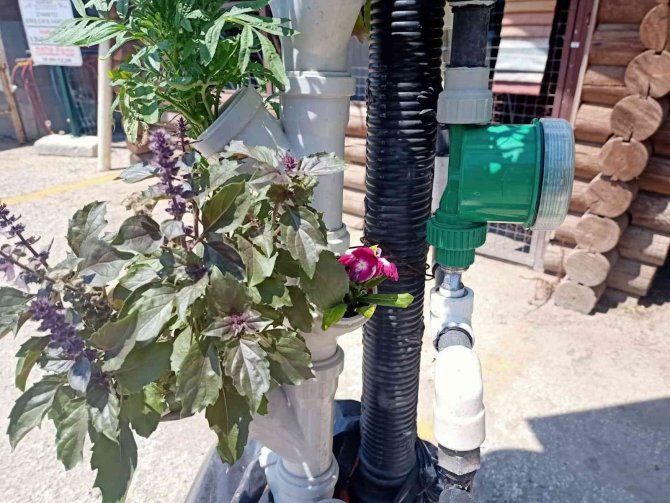 Güneş Enerjisiyle Topraksız Dikey Tarım