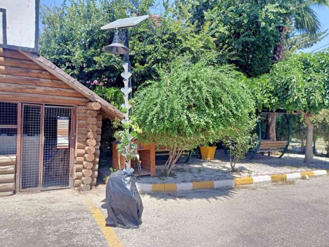 Güneş Enerjisiyle Topraksız Dikey Tarım